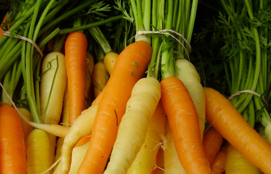 Carré aux dattes et courges